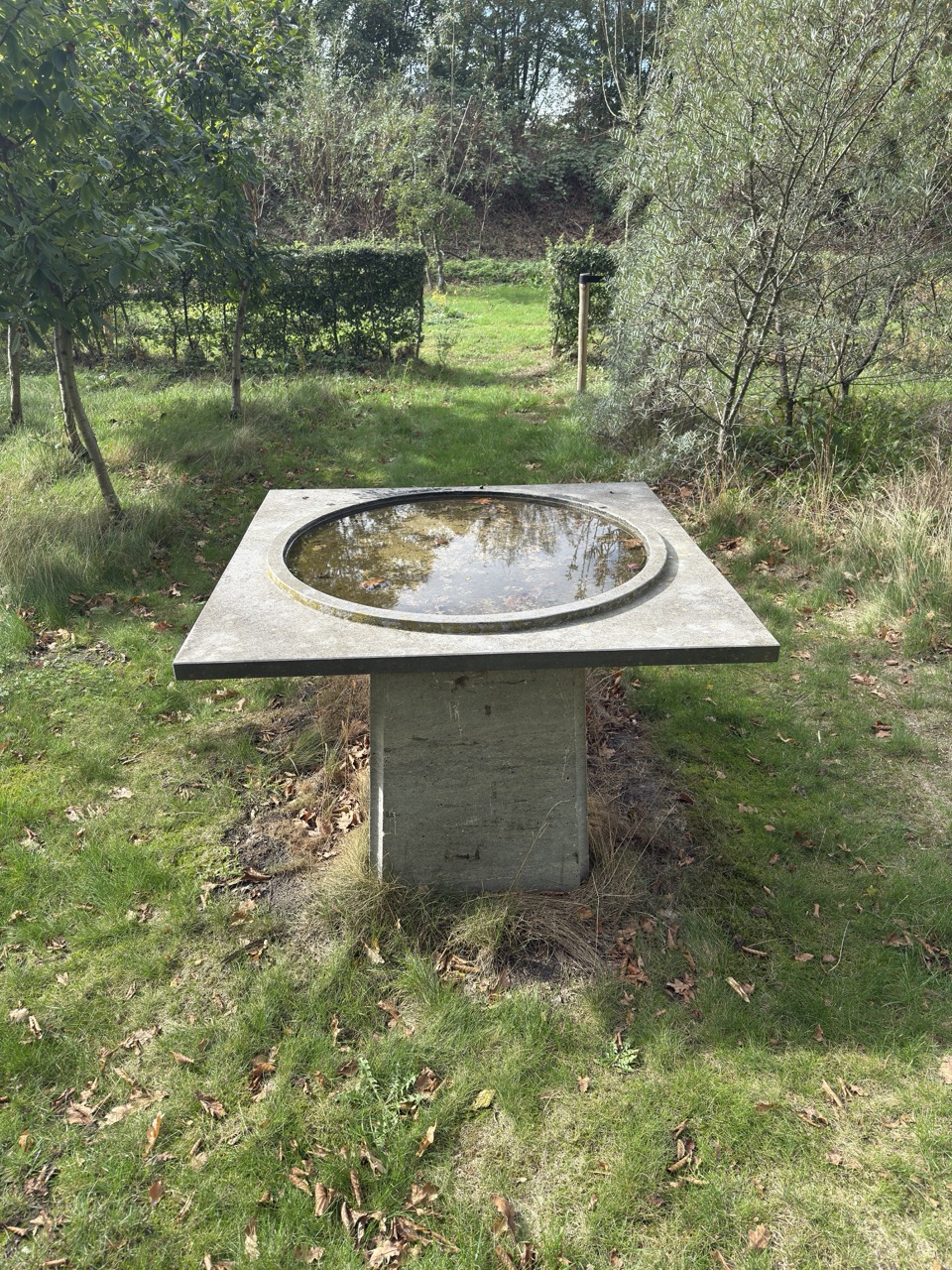 Betonnen vijver in groene omgeving - Bergen op Zoom